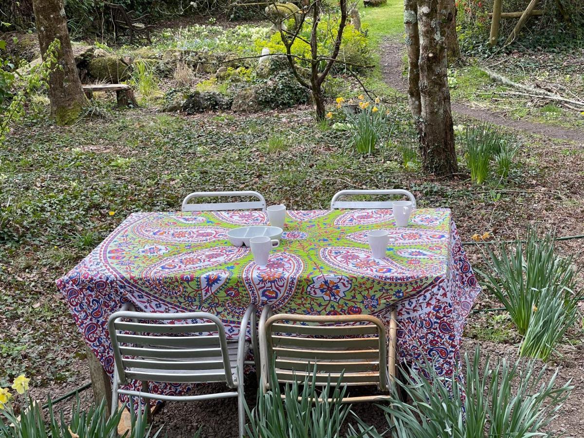 Retro Private Lodge With Hot Tub Nr Dartmoor Newton Abbot Buitenkant foto
